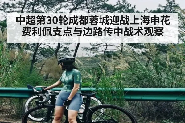 中超第30轮成都蓉城迎战上海申花费利佩支点与边路传中战术观察